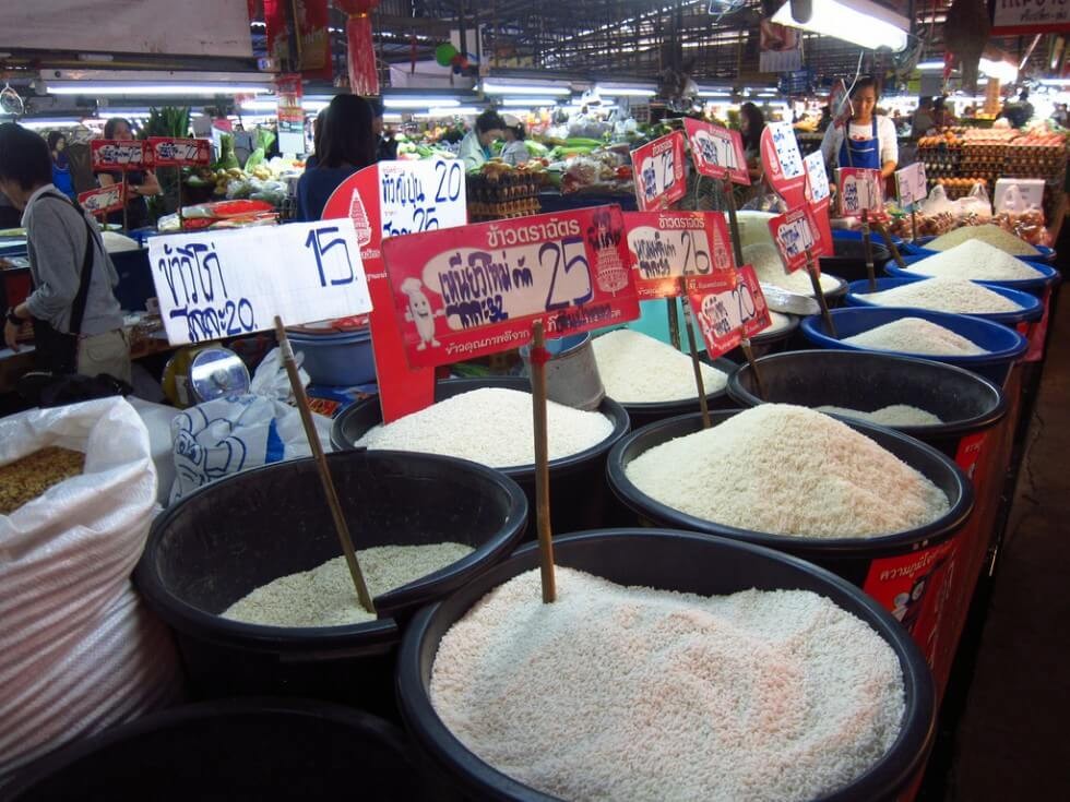 rice at Thai farm Chiang Mai cooking school market tour
