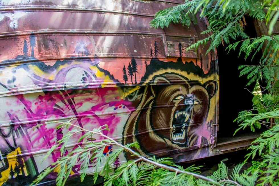 Train Wreck Trail Graffitti Whistler