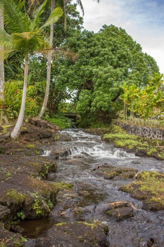 Hilo Hawaii Airbnb River