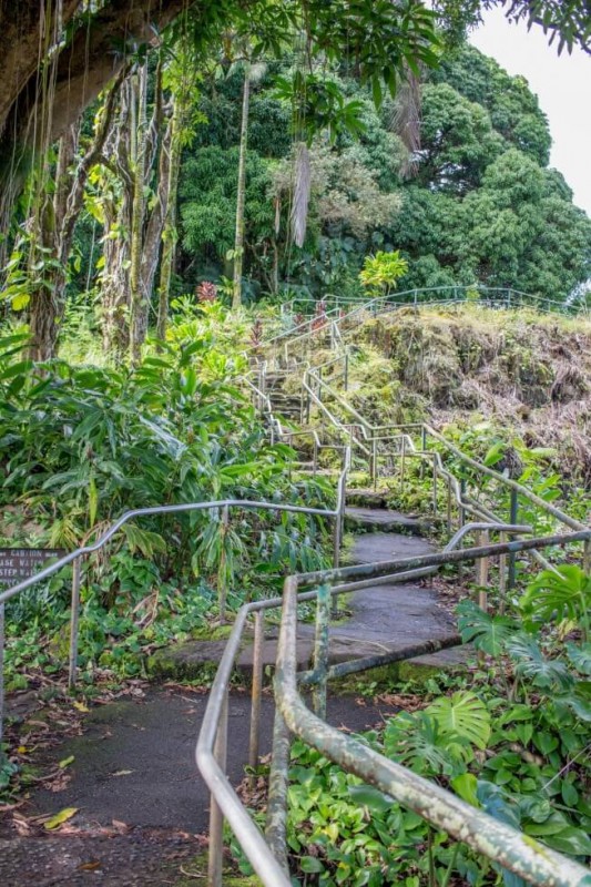 Hilo Hawaii Rainbow Falls Staircase