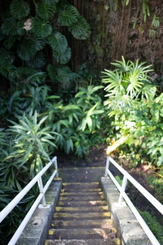 Staircase to Kaumana Caves Hilo Hawaii