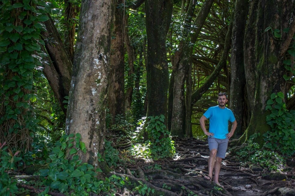 Tom in the trees near Rainbow Falls in Hilo Hawaii