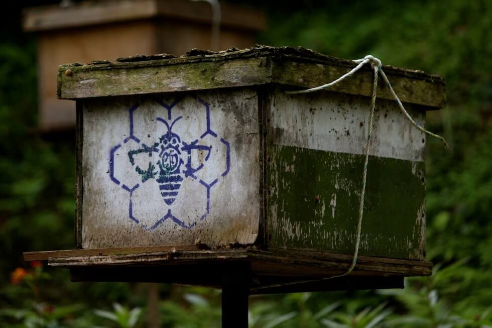 Bee hive in the Cameron Highlands, Malaysia