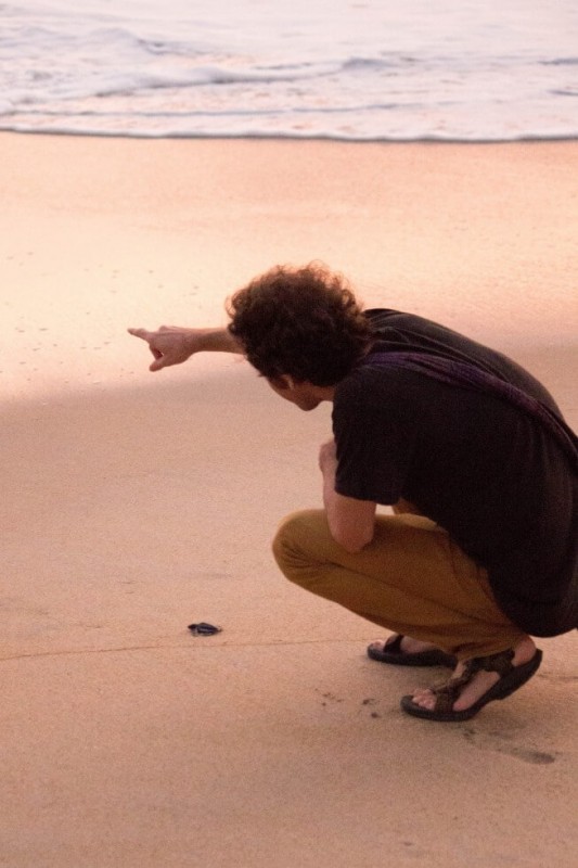 Simon Giving the Baby Sea Turtle Directions