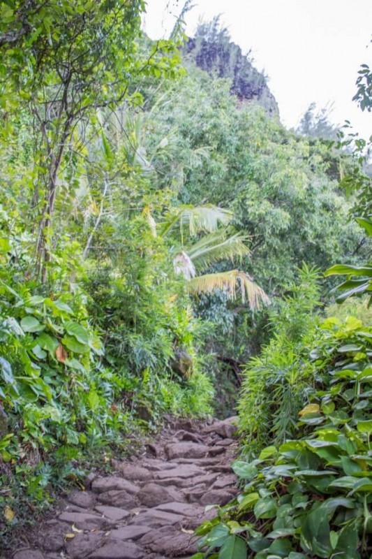 Beginning of the Kalalau Trail Kauai