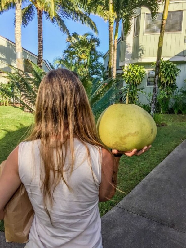 Big Pomelo Best of Kauai