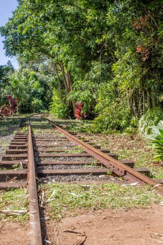 Train Tracks at Koloa Plantation Best of Kauai
