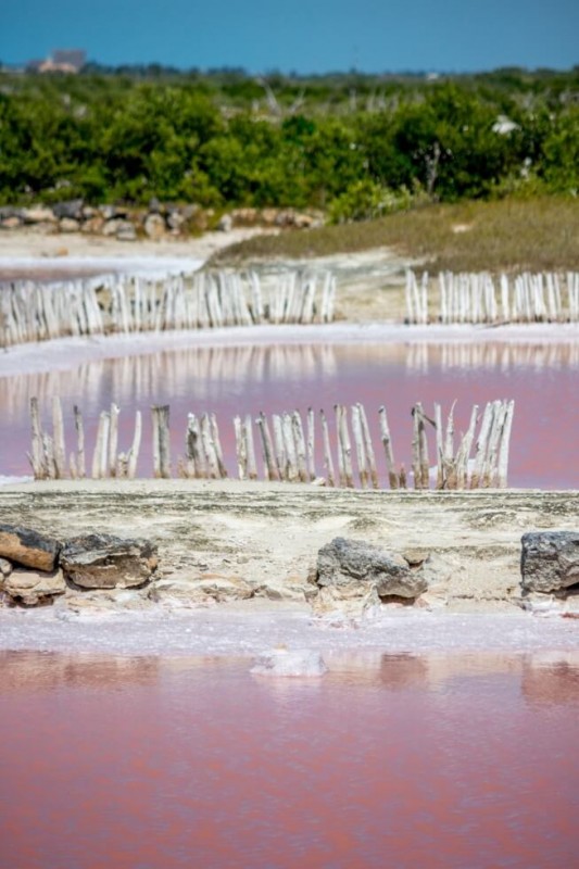laguna rosada yucatan peninsula