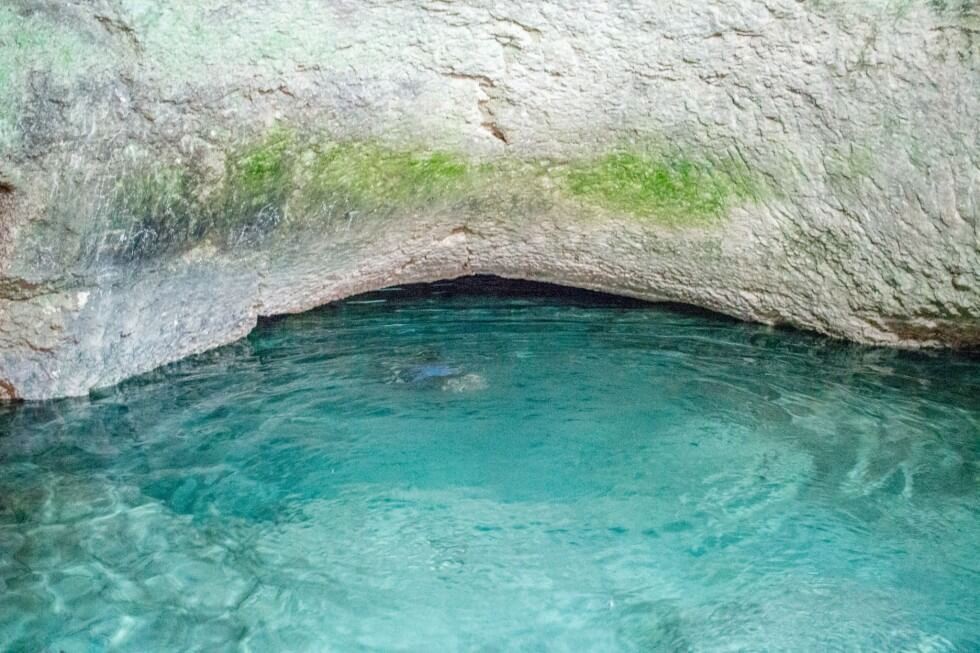 Cenotes Near Merida Snorkeling into the Cavern of Sambula