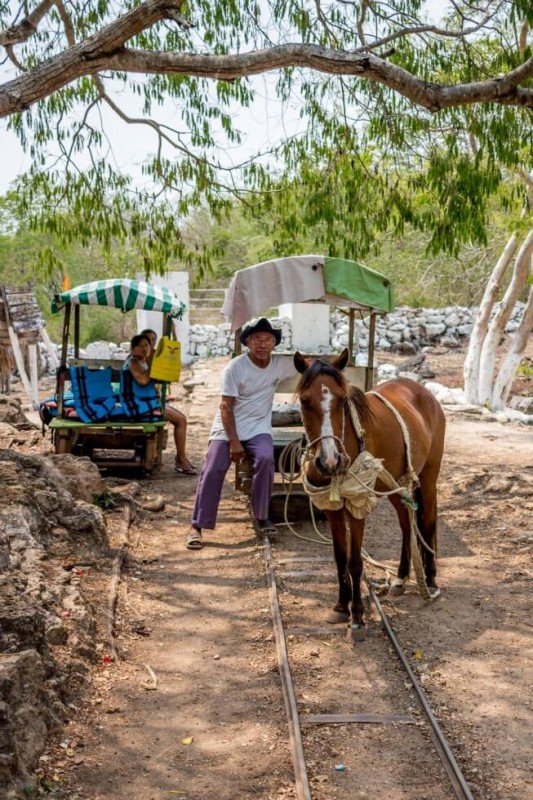 Horse Drawn Carts to visit three Cenotes of Cuzuma