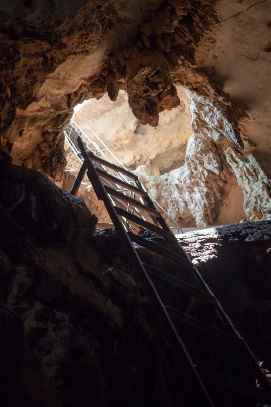 Ladder into one of the Cenotes near Merida