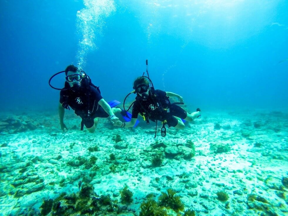 83 - Diving together in Mexico