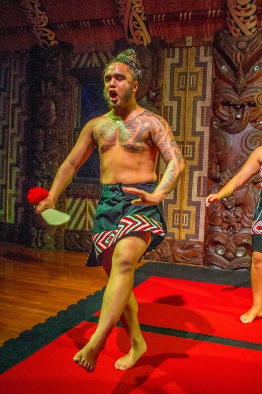 Dance Waitangi Treaty Grounds Haka Tours New Zealand