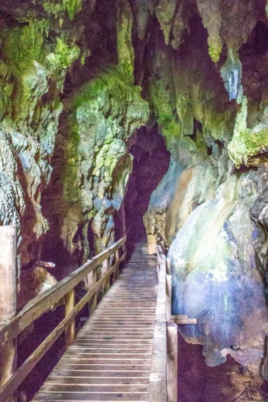 Entrance to Kawiti Glow Worms Caves Haka Tours New Zealand