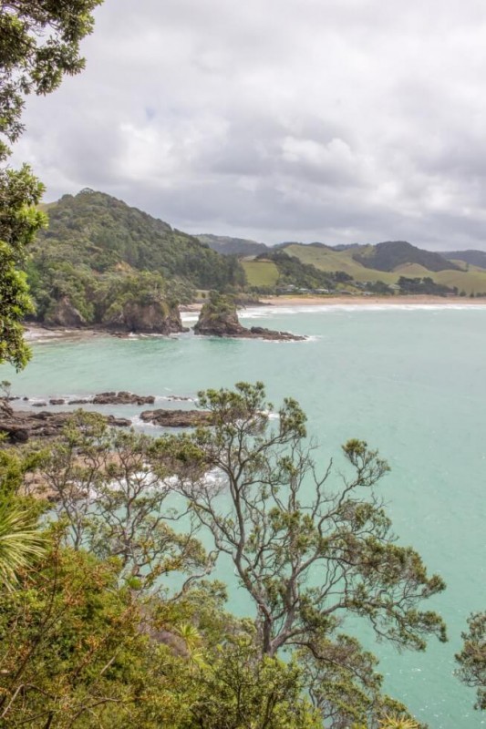 Ocean Views Haka Tours New Zealand