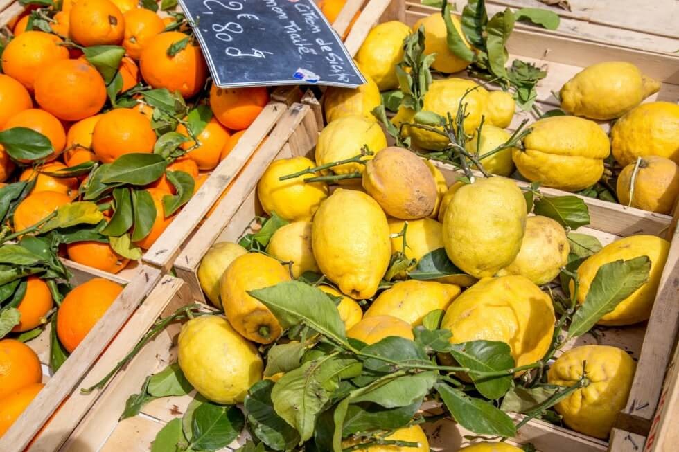 Lemons at the market Aix en Provence