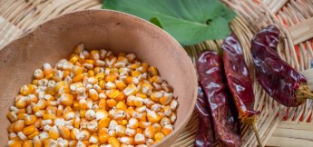 El Sabor Zapoteco Traditional Oaxaca Cooking Classes