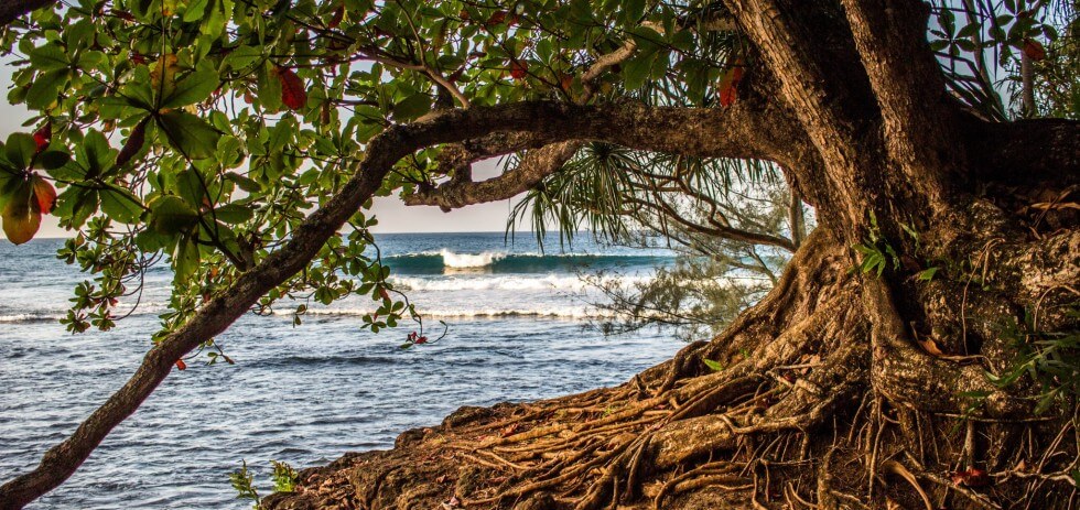 Best of Kauai