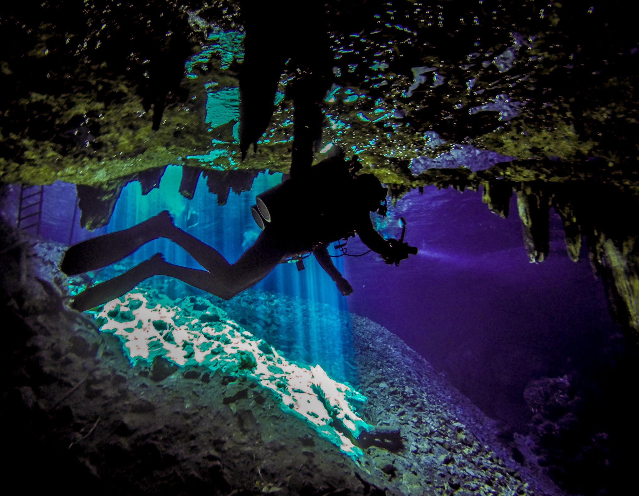 Scuba Diving a Cenote from Merida, Mexico